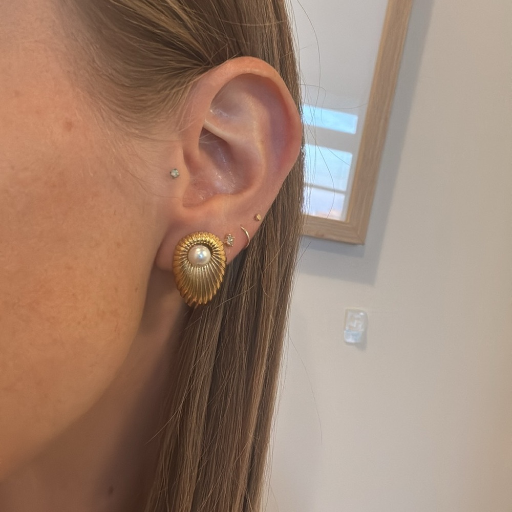 Gold mussel clam Nantucket cape cod stud earrings seashell shell pearl